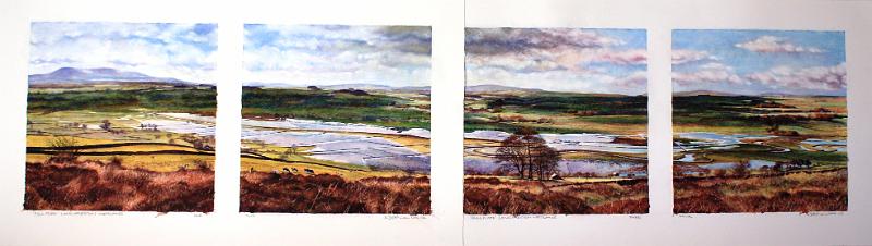 Long Preston Bottoms Mar12.JPG - "Long Preston Bottoms"   - by David Walshaw  - March '12